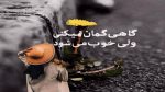 دانلود آهنگ آدیمدی ببیر دولودودی منده صبیر از پیام تورک